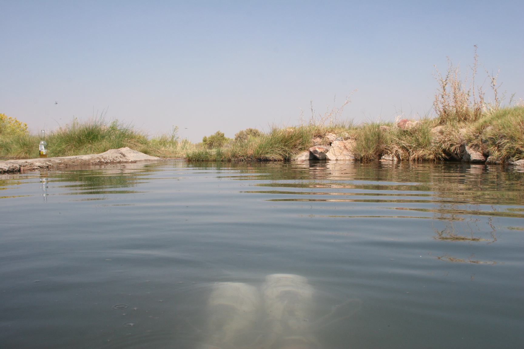 Name:  IMG_0224.jpg
Views: 2687
Size:  890.1 KB