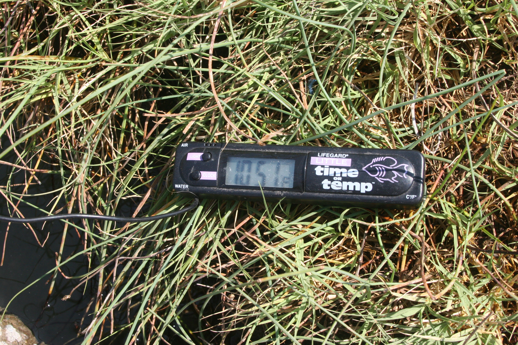 Name:  IMG_0218.jpg
Views: 2712
Size:  1.79 MB