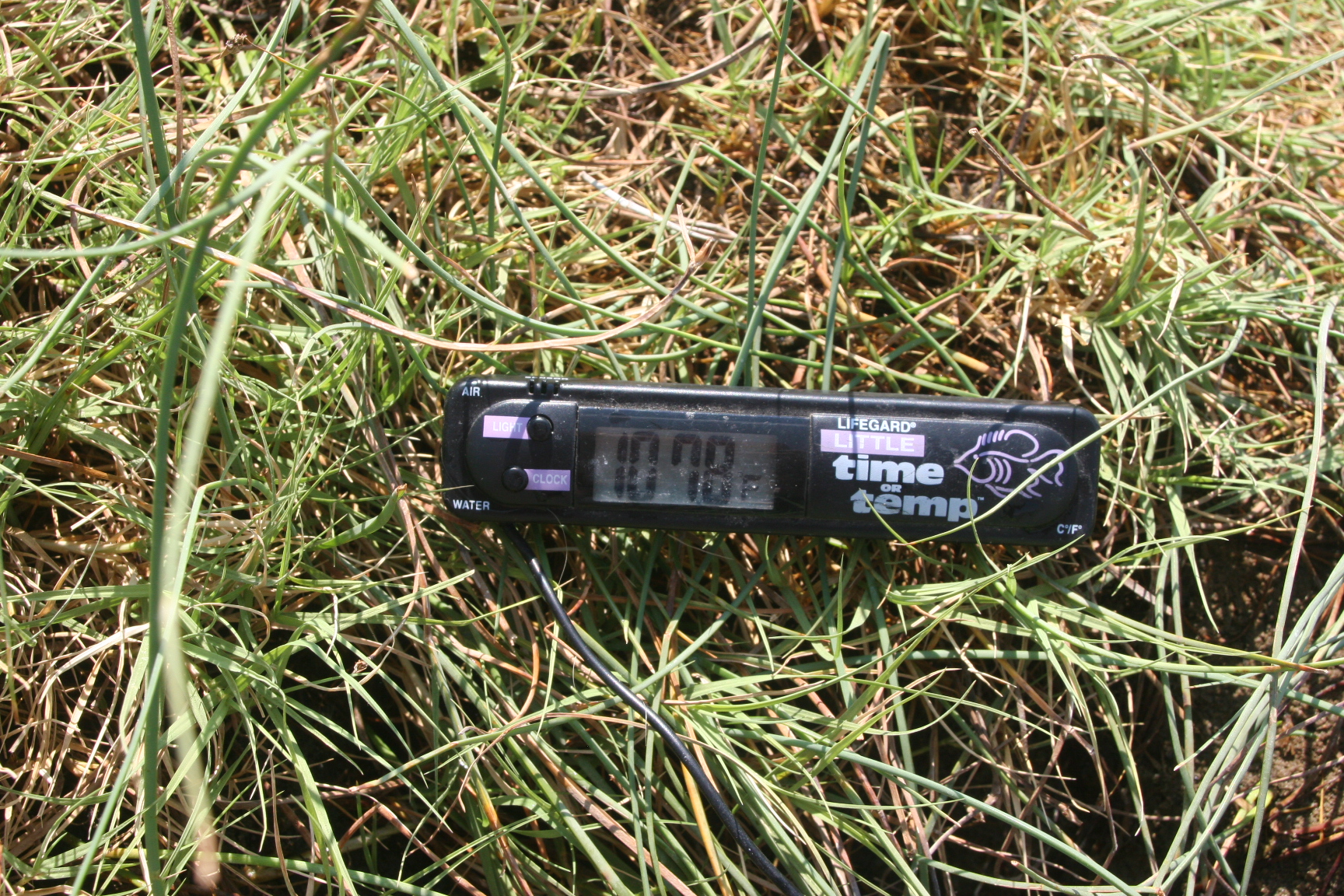 Name:  IMG_0220.jpg
Views: 2673
Size:  1.62 MB