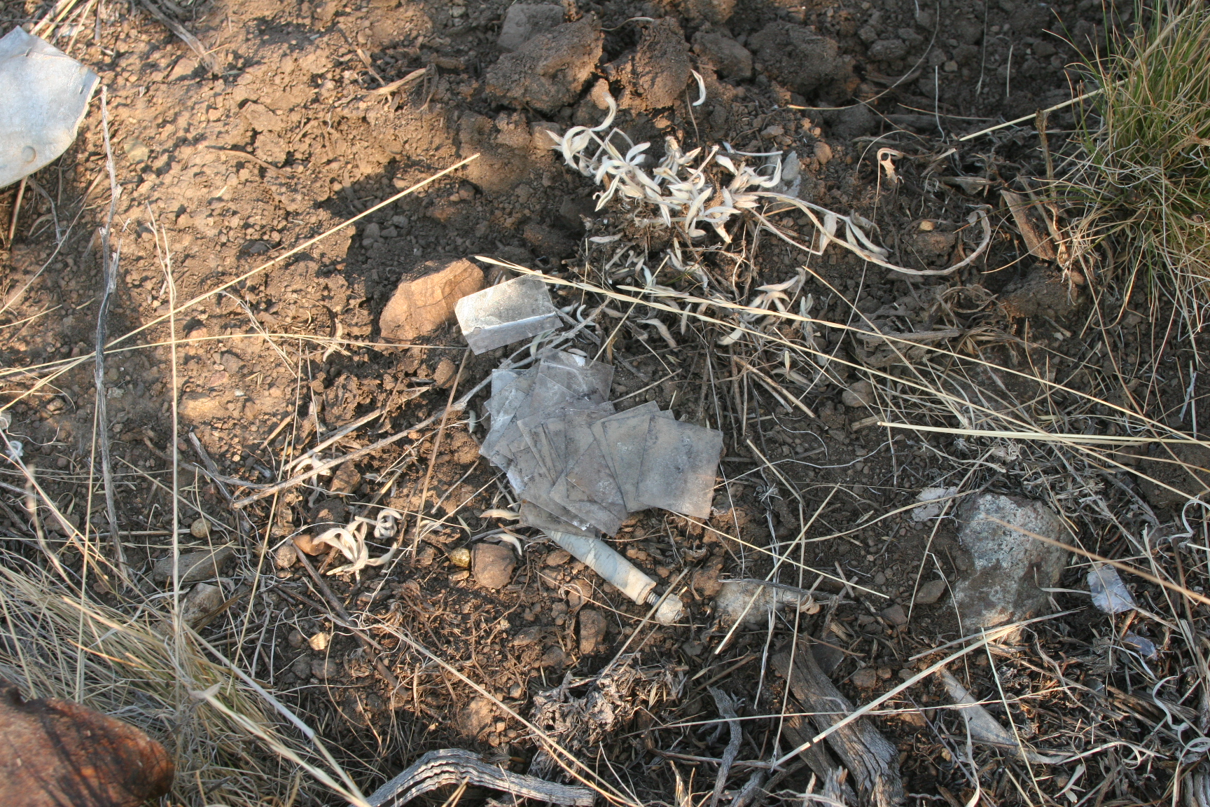 Name:  IMG_0065.jpg
Views: 2823
Size:  1.72 MB