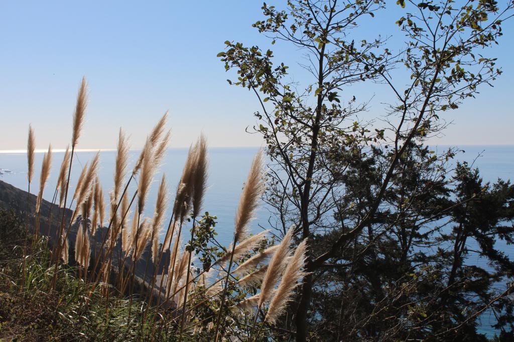 Name: IMG_2372.jpg
Views: 212
Size: 155.1 KB