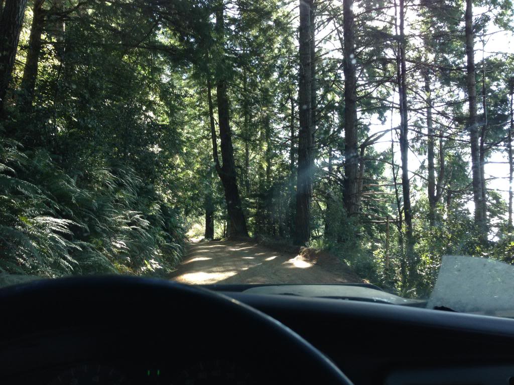Name: IMG_7695_zpsf64af8f0.jpg
Views: 231
Size: 168.6 KB
