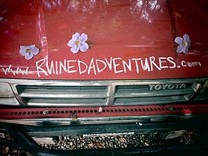Driving from Texas to South America in an '87 4runner-fdslgl.jpg