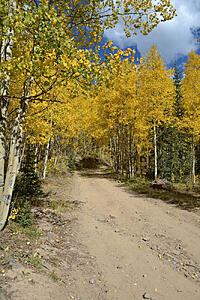 Kenosha pass, CO (gold leaf report)-fn2sl.jpg