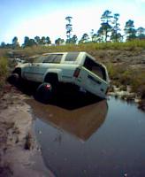 2 Stuck Pics-picture2.jpg