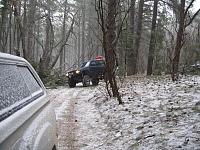 Arizona Strip/Grand Canyon/Southern Utah/Central Nevada trip-deadfalls.jpg