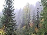 Show us your campsite/campfire pictures-snc00062.jpg