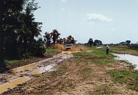 Off roading in Venezuela-barro_guarico.jpg