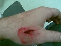 Your fave wrenching gloves?-image397.jpg