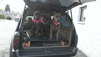 FS: 2000 4runner Limited w/locker, 190k, seattle k obo-imag9481.jpg