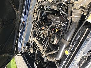 1994 toyota pickup 4x4-78e0bb83-b7a4-4a8a-bbb3-e6a88c1a5444.jpeg