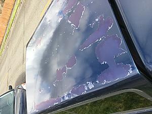 1994 toyota pickup 4x4-04cc76df-dc17-4e5e-9b8d-727b202b0fd5.jpeg
