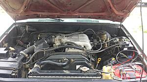 1988 4runner w/ 5VZFE, 5 speed & 4wd - 00 OBO-wdizack.jpg