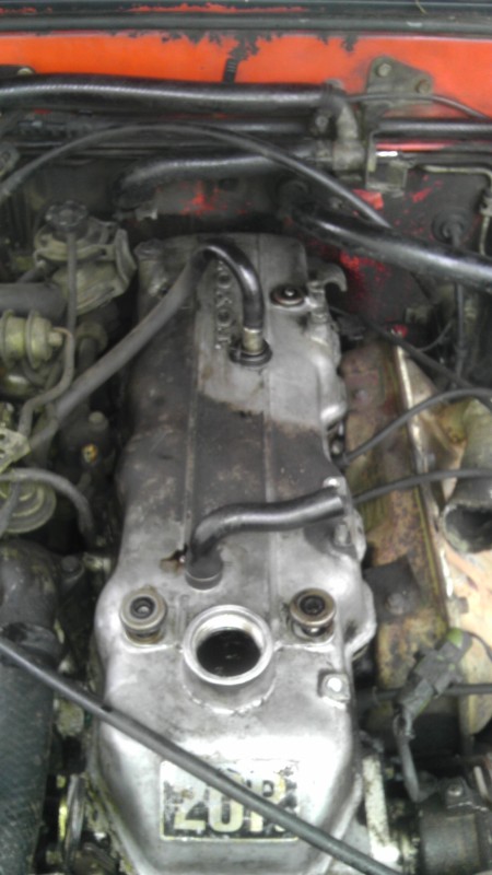 Name:  IMAG2675_zps6cd7f917.jpg
Views: 123
Size:  112.4 KB