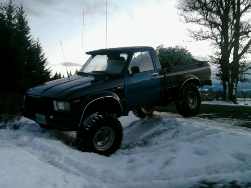 Name:  Xmastreeinyota.jpg
Views: 364
Size:  86.8 KB