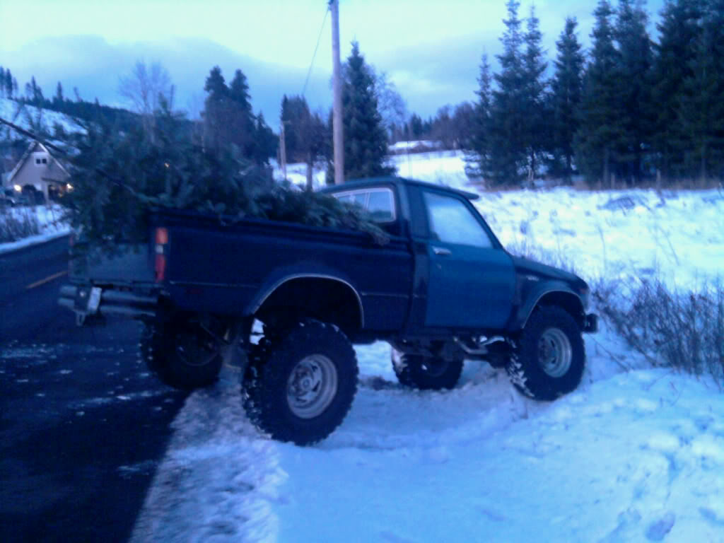 Name:  Xmastreeinyota2.jpg
Views: 362
Size:  90.4 KB