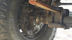New here-  Just purchased this '82:-20170920_115257_resized.jpg