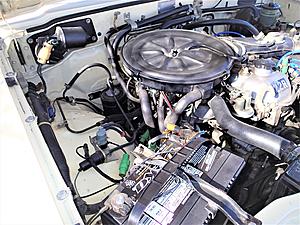 Our '83 is finally "Weberized"!!-web-1.jpg