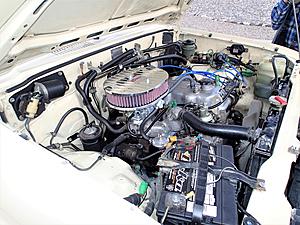 Our '83 is finally "Weberized"!!-web-7.jpg