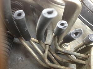 1982 Emissions hoses have me stumped!-4voehjh.jpg