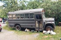1981 Chinook - Opening a can of worms...-bus.jpg