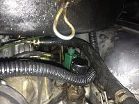 Help IDing Wire-img_1464.jpg