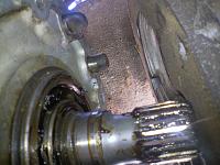 New 82 and i need help-image.jpg