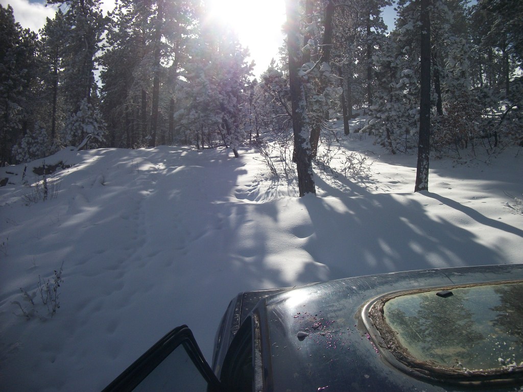Name:  100_23871.jpg
Views: 183
Size:  195.4 KB