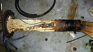85 4runner gas tank: clean or replace?-20180424_193630_resized.jpg