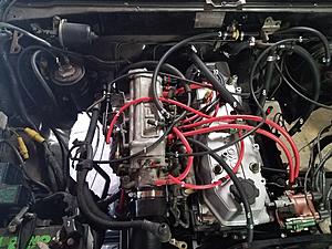 Please help me find a home for these hoses-1.jpg