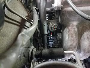 Please help me find a home for these hoses-3.jpg