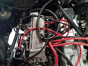Please help me find a home for these hoses-4.jpg