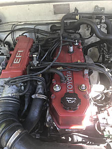 Please help me find a home for these hoses-photo122.jpg