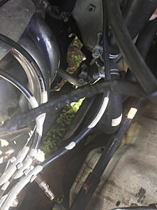Please help me find a home for these hoses-photo664.jpg