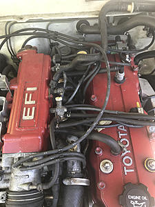 Please help me find a home for these hoses-photo353.jpg
