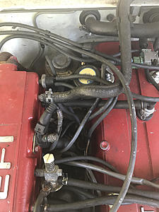 Please help me find a home for these hoses-photo831.jpg