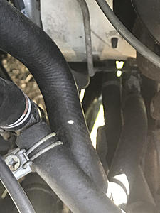 Please help me find a home for these hoses-photo297.jpg