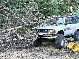 Treetop hit my 4runner-photo920.jpg