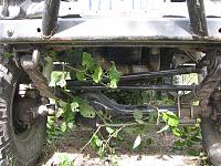 leafs or coil-summer-09-031.jpg