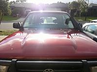 Post Your Pics!!!-11182030_10153142412656760_8339587134333471670_n.jpg