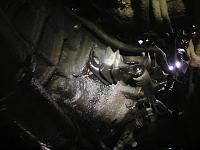 What Is This!!-img_20150531_182819.jpg