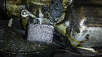 Help with tranny leak-20170228_135231.jpg