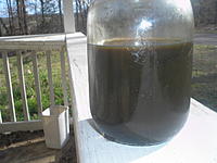 blown motor?-p1010091.jpg