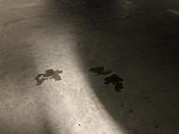 '87 PS Pump Leak Somewhere-img_1409.jpg