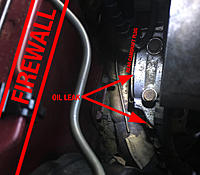 3VZ-E Leak Identification Help-oilleak.jpg