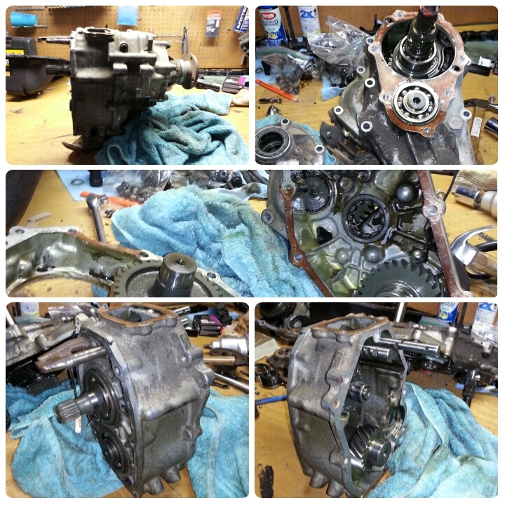 Name:  PhotoGrid_1436136812340_zps6u1z7szs.jpg
Views: 5632
Size:  459.3 KB