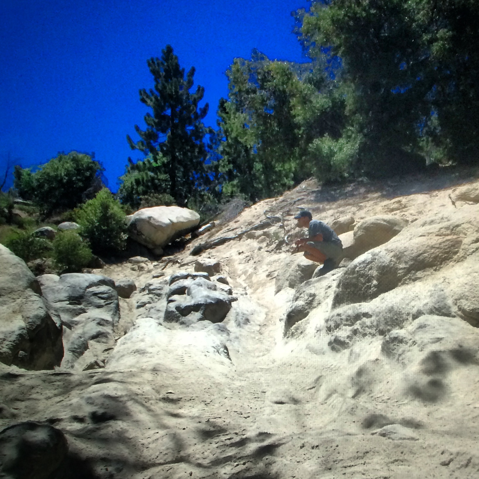 Name:  IMG_3907.jpg
Views: 118
Size:  714.8 KB