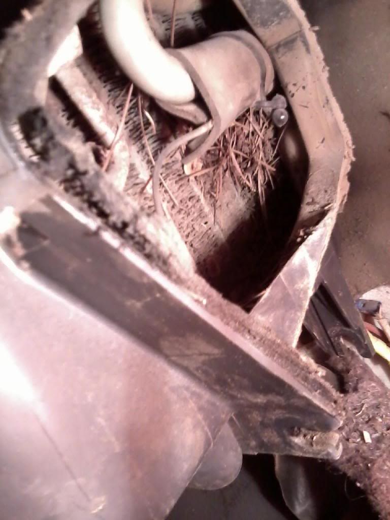 Name:  swap93_zpscd48b802.jpg
Views: 2996
Size:  72.5 KB