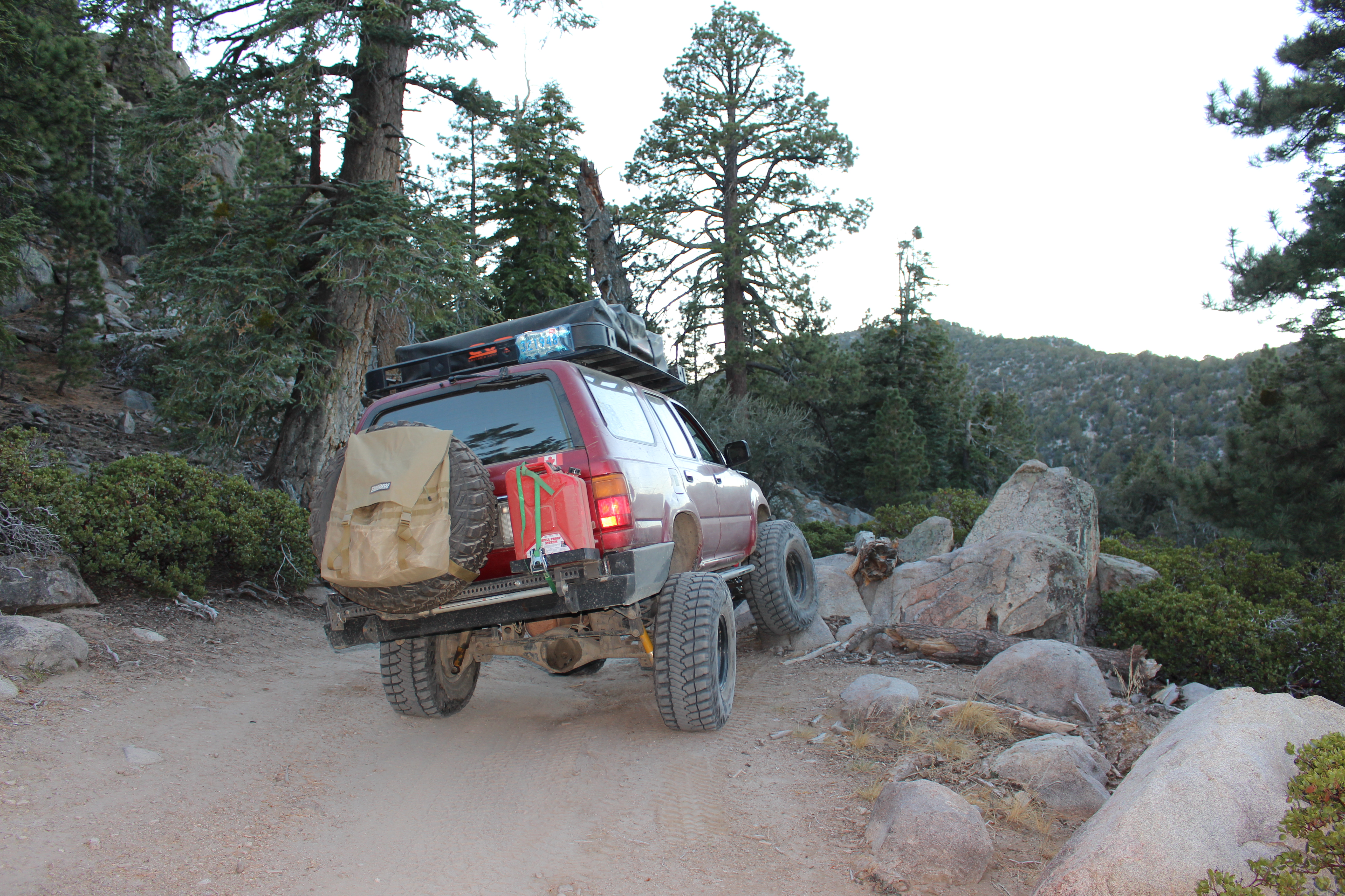 Name:  BigBearAndrewsPics247.jpg
Views: 249
Size:  7.64 MB