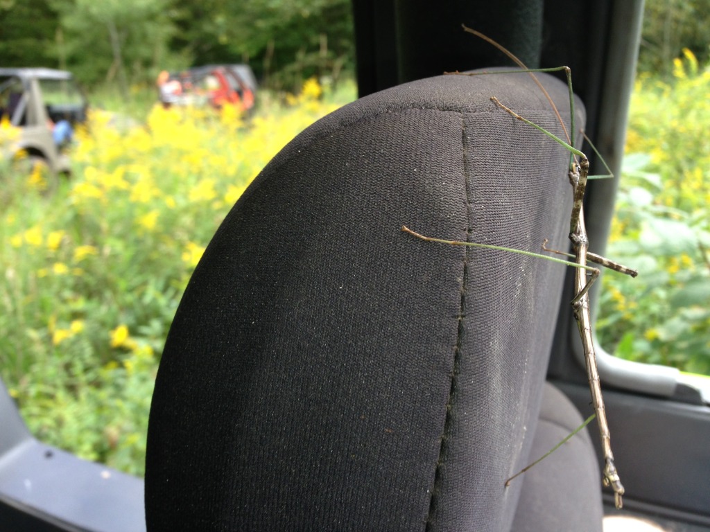 Name:  2E4410CE-0056-4711-A96D-36F8B410A52E-3915-000002D1551CD167_zps6e3fde17.jpg
Views: 530
Size:  207.7 KB